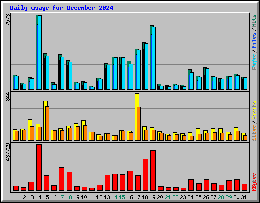Daily usage for December 2024
