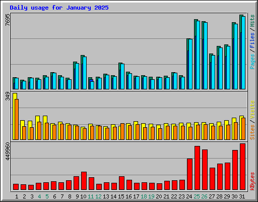 Daily usage for January 2025