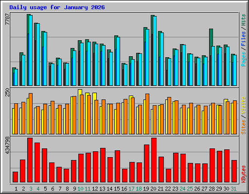Daily usage for January 2026