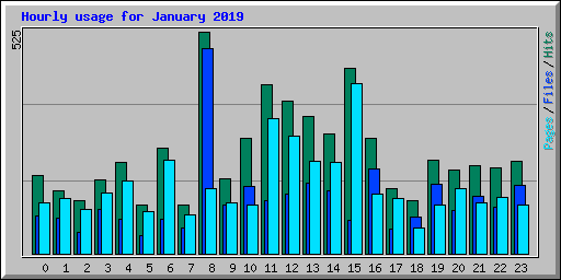 Hourly usage for January 2019