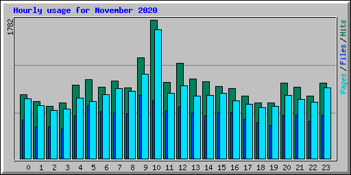 Hourly usage for November 2020
