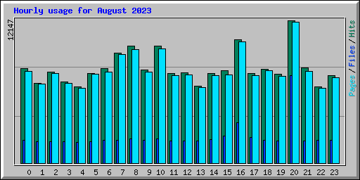 Hourly usage for August 2023