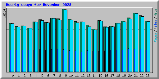 Hourly usage for November 2023