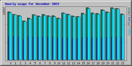 Hourly usage for December 2023