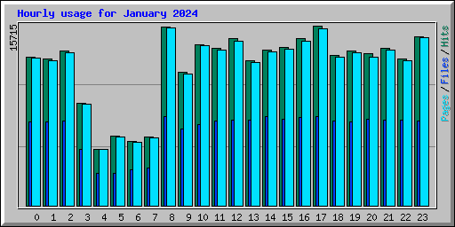 Hourly usage for January 2024