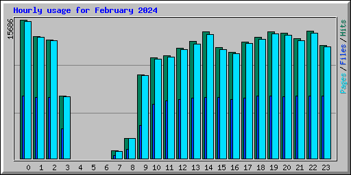 Hourly usage for February 2024
