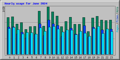 Hourly usage for June 2024