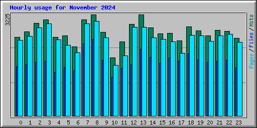 Hourly usage for November 2024