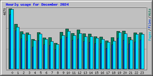 Hourly usage for December 2024