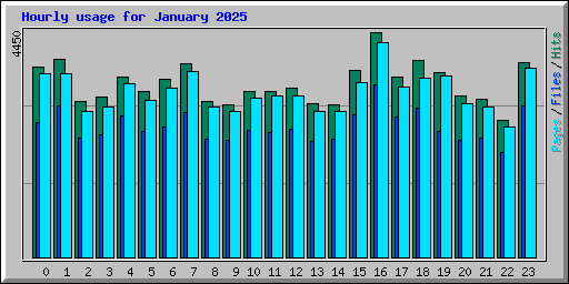 Hourly usage for January 2025