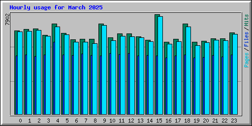 Hourly usage for March 2025