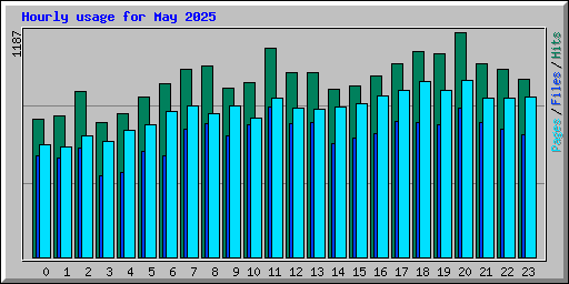 Hourly usage for May 2025