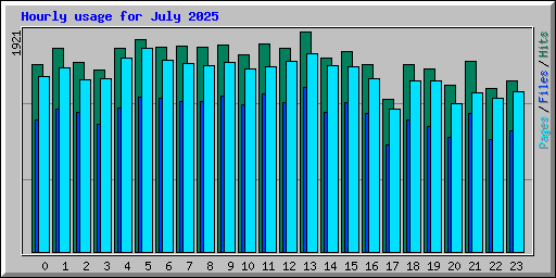 Hourly usage for July 2025
