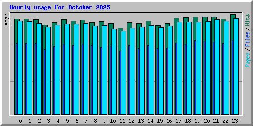 Hourly usage for October 2025