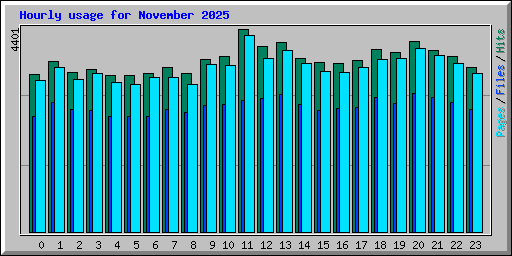 Hourly usage for November 2025