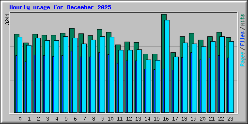 Hourly usage for December 2025