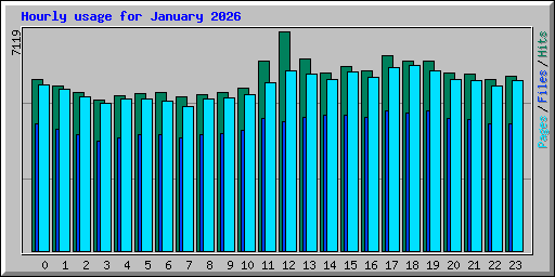 Hourly usage for January 2026