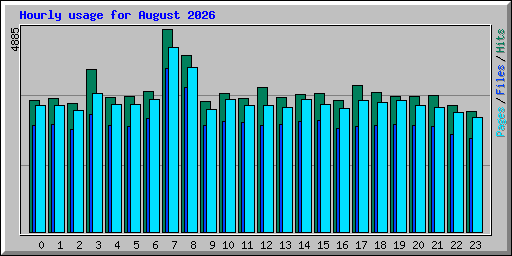 Hourly usage for August 2026